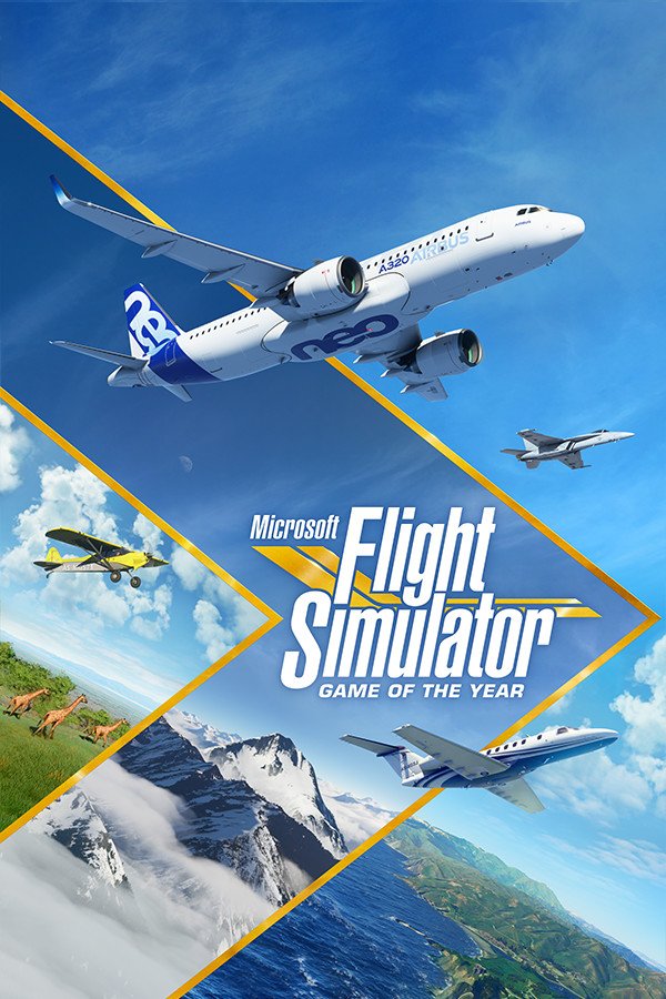 Microsoft Flight Simulator (2020) - Steam key