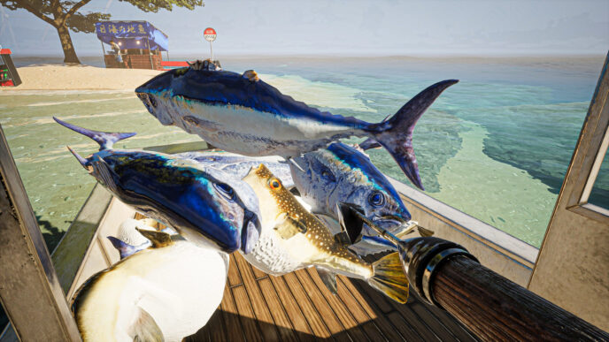 Những sinh vật biển kỳ dị trong thế giới UMIGARI